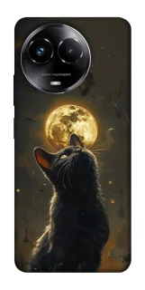 Чохол на Realme C67 4G Кіт під місяцем v2 фото 1 з 1