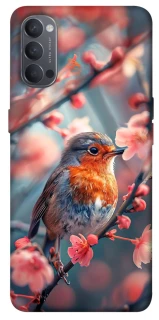 Чохол на Oppo Reno 4 Birdie фото 1 з 1
