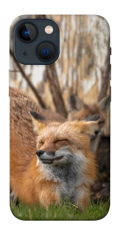 Чехол на Apple iPhone 13 mini (5.4") Лиса фото 1 из 1