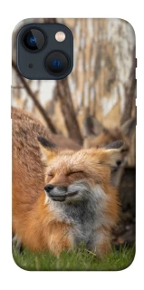 Чехол на Apple iPhone 13 mini (5.4") Лиса фото 1 из 1