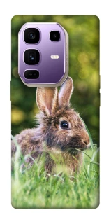 Чехол на Infinix Note 50 Pro+ Кролики фото 1 из 1