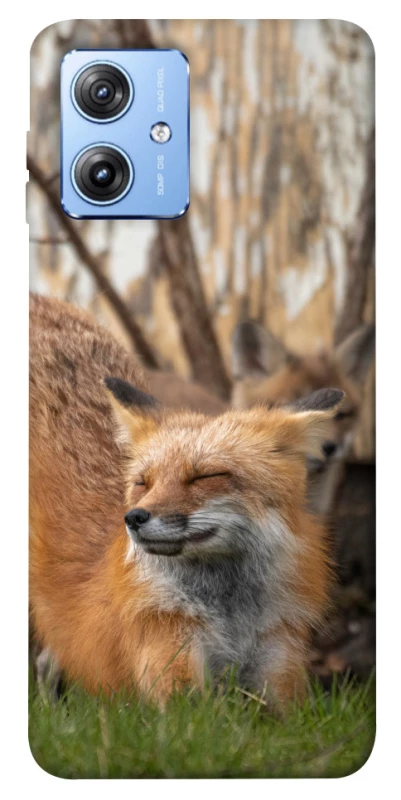 Чехол на Motorola Moto G84 Лиса фото 1 из 1