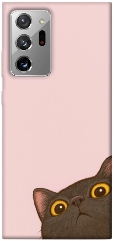 Чохол на Samsung Galaxy Note 20 Ultra Peeping cat фото 1 з 1