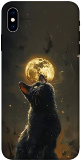 Чохол на Apple iPhone X (5.8") Кіт під місяцем v2 фото 1 з 1