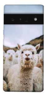 Чохол на Google Pixel 6 Pro Лама фото 1 з 1