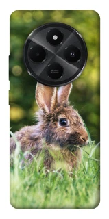 Чохол на Xiaomi Redmi A3 Pro Кролики фото 1 з 1