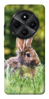 Чехол на Xiaomi Redmi A4 Кролики фото 1 из 1