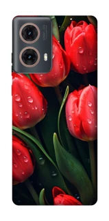 Чохол на Motorola Moto G85 Червоні тюльпани фото 1 Чохол на Motorola Moto G85 Червоні тюльпани фото 1 з 1