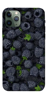 Чохол на Apple iPhone 11 Pro (5.8") Fresh фото 1 з 1