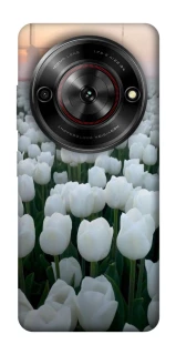 Чехол на ZTE Nubia Focus Flowers v1 фото 1 Чехол на ZTE Nubia Focus Flowers v1 фото 1 из 1