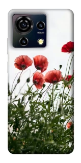Чехол на ZTE Blade V50 Vita Поле маков фото 1 из 1