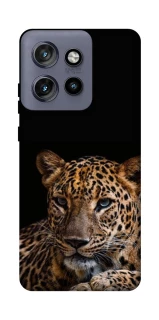 Чохол на Motorola Edge 50 Neo Leopard v4 фото 1 з 1