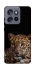 Чохол на Motorola Edge 50 Neo Leopard v4 фото 1 з 1