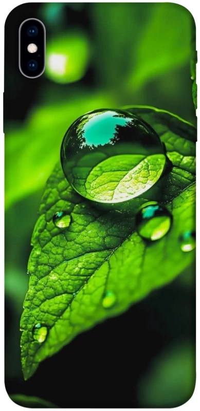 Чохол на Apple iPhone XS Max (6.5") Flowers v16 фото 1 з 1