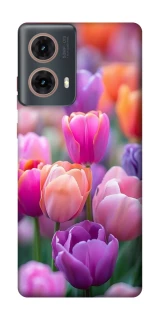 Чехол на Motorola Moto G85 Поле тюльпанов фото 1 из 1