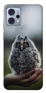 Чохол на Motorola Moto G23 Совеня фото 1 Чохол на Motorola Moto G23 Совеня фото 1 з 1