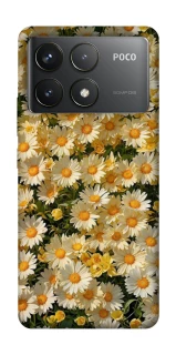 Чохол на Xiaomi Poco F6 Pro Camomile фото 1 з 1