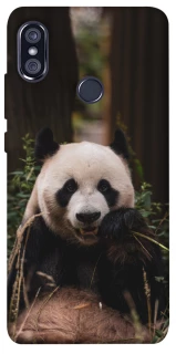 Чохол на Xiaomi Redmi Note 5 Pro / Note 5 (AI Dual Camera) Панда фото 1 з 1