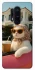 Чехол на OnePlus 8 Pro Stylish Cat Cruise фото 1 из 1