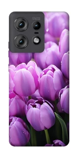 Чехол на Motorola Edge 50 Pro Фиолетовые тюльпаны фото 1 из 1