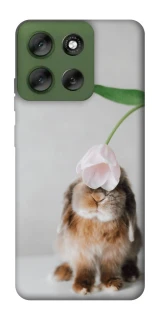 Чохол на Motorola Moto G56 5G Bunny фото 1 з 1