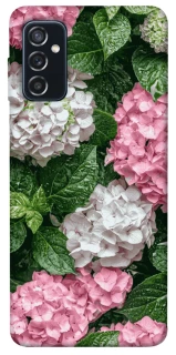 Чехол на Samsung Galaxy M52 Secret Garden фото 1 из 1