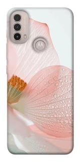 Чехол на Motorola Moto E40 Flowers zon фото 1 из 1