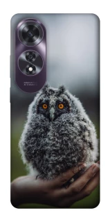 Чохол на Oppo A60 Совеня фото 1 з 1