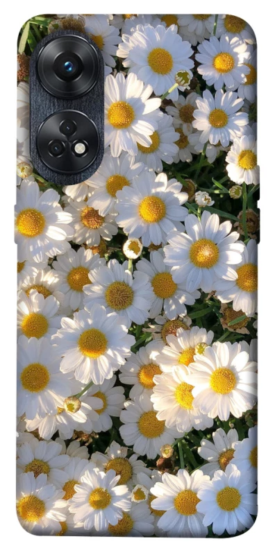 Чохол на Oppo Reno 8T 4G Поле ромашок фото 1 з 1