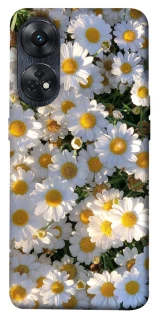 Чехол на Oppo Reno 8T 4G Поле ромашек фото 1 из 1