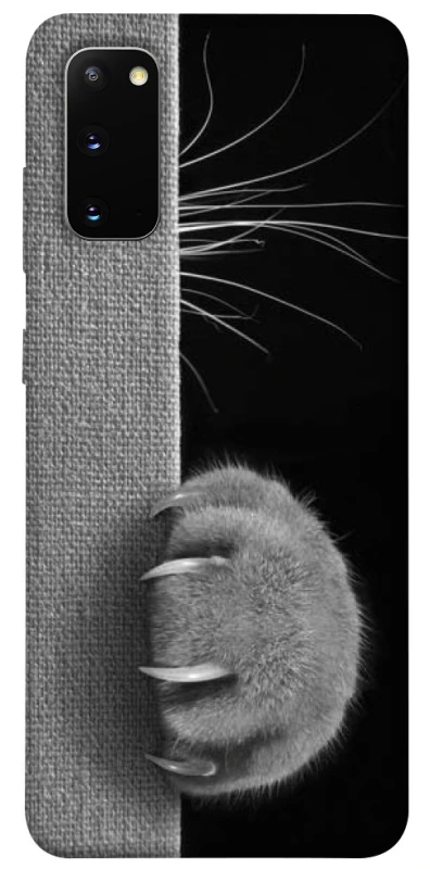 Чехол на Samsung Galaxy S20 Spy Cat фото 1 из 1