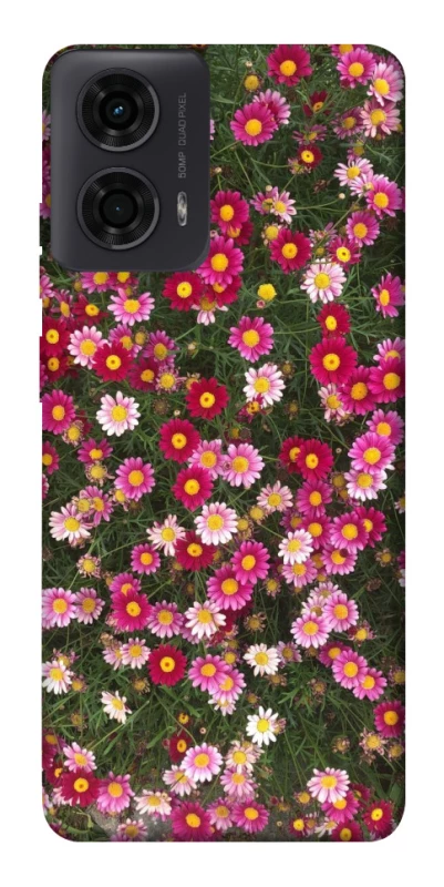 Чохол на Motorola Moto G24 Flowers v8 фото 1 з 1