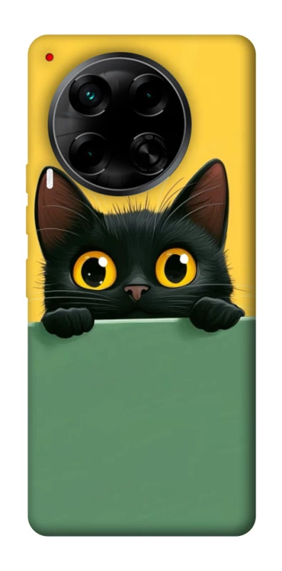 Чехол на TECNO Camon 30 (CL6) Black cat v2 фото 1 из 1