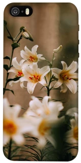 Чохол на Apple iPhone 5/5S/SE Лілії фото 1 з 1