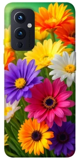 Чехол на OnePlus 9 Flowers v32 фото 1 из 1