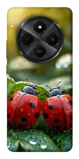 Чохол на Xiaomi Poco M7 Flowers v23 фото 1 з 1