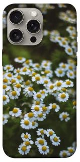 Чохол на Apple iPhone 15 Pro Max (6.7") Ромашки v13 фото 1 з 1