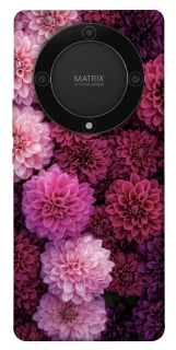 Чехол на Huawei Magic5 Lite Garden1 фото 1 из 1