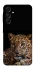 Чехол на Samsung Galaxy A17 4G/5G Leopard v4 фото 1 из 1