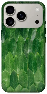 Чехол на Apple iPhone 17 Pro (6.3") Листья фото 1 из 1