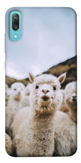 Чохол на Huawei Y6 Pro (2019) Лама фото 1 з 1
