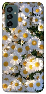 Чохол на Samsung Galaxy M34 5G Поле ромашок фото 1 з 1
