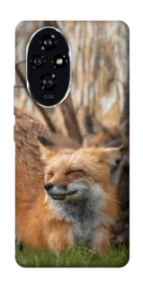 Чехол на Honor 200 Лиса фото 1 из 1
