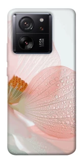 Чехол на Xiaomi 13T Flowers zon фото 1 из 1