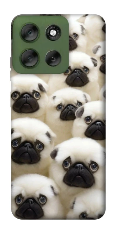 Чохол на Motorola Moto G56 5G Doggy Pug Love фото 1 з 1