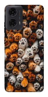 Чехол на Motorola Moto G04 Сat paws фото 1 из 1