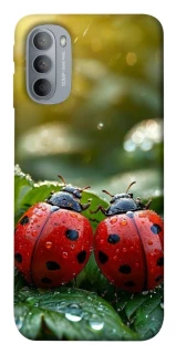 Чохол на Motorola Moto G31 Flowers v23 фото 1 з 1