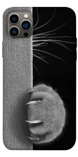 Чохол на Apple iPhone 12 Pro (6.1") Spy Cat фото 1 з 1