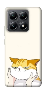 Чехол на Xiaomi 14T Cat bun фото 1 из 1