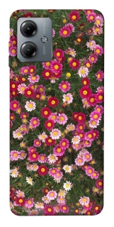 Чохол на Motorola Moto G14 Flowers v8 фото 1 з 1